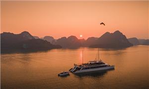 Lý do nên đi du thuyền trên Vịnh Hạ Long mùa Hè 2024